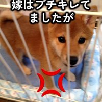 怒っていたママ