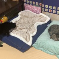 天ちゃんに盗られちゃった！！