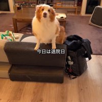 数日ぶりにママと再会