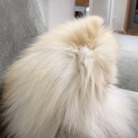 一応お尻のニオイを確認