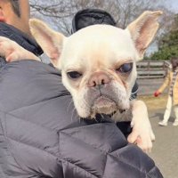 保護当時のうたちゃん