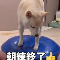 明日からも元気に過ごせる！