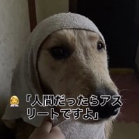 鍛え上げられています