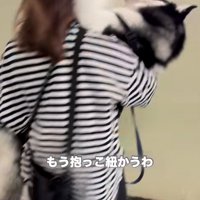 犬が振り返る様子