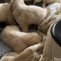 突然の襲来が！！