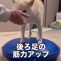 楽しみながら続けてるよ♪