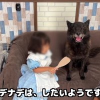 出発前のスキンシップです