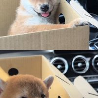 とっても無邪気で可愛い！