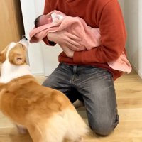 赤ちゃんを近づけてみたら…
