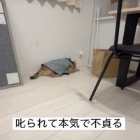 部屋の端っこに…
