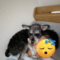パパ