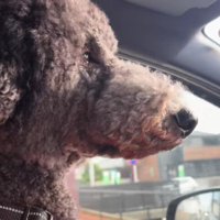 「今日もいい天気だ…」