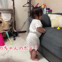 「それはほのちゃんのだよ！」