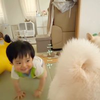 おまめちゃんと赤ちゃん8