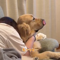 女性に泣きつかれて自分の口元を舐める犬