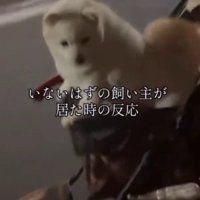 思わず鳴いちゃうベラちゃん