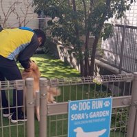 そら君とブリーダーさんの再会8