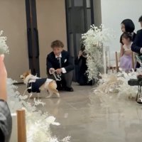 近くのゲストにご挨拶