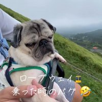 リフトに乗るデビちゃん5