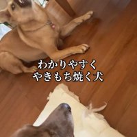 嫉妬心をむき出しにすることも