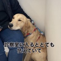 2人とも不安いっぱい