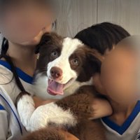 家族の中心的な存在に