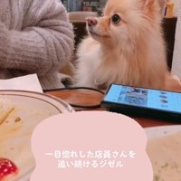 目で追っています