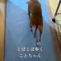 明らかに落ち込んでいます