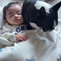 こんぶちゃんと赤ちゃん9