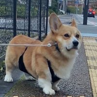 譲る気ゼロ