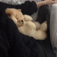 小梅ちゃんの成長