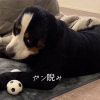 まさかのご立腹！！