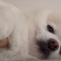 撫でて