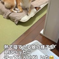 女の子のそばに雷丸くんが！