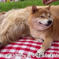 「外って気持ちいい～」