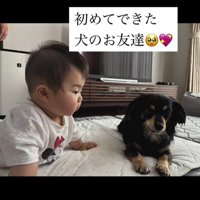 赤ちゃんとワンちゃんの初対面9