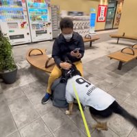 大喜びで駆け寄る維桜ちゃん
