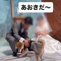 リングドッグに挑戦する大吉くん4