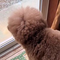 いつかまた会う日まで…