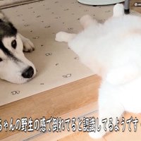 「じゅんちゃん大丈夫かな？」