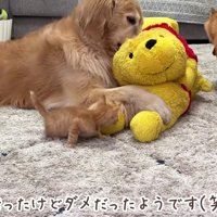「断られた…」