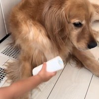 ラビーくんに芯をあげる男の子3