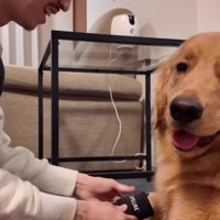 どんな感じかな？