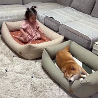 ほのちゃんも気に入ったみたい