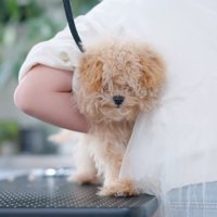 ちょっぴり怖がりだけど…