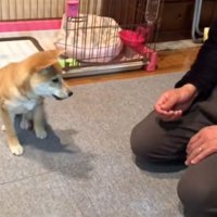 お父さんに近づくみなみちゃん