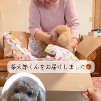 ぬいぐるみを取り出すおばあさん