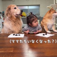 パパとママが出ると…