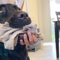 怒られる人形を見たえんぞう君の反応⑩