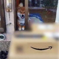 荷物の番人みたいなおいも君でした♡